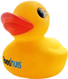 Boshuis eend