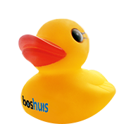 Boshuis eend