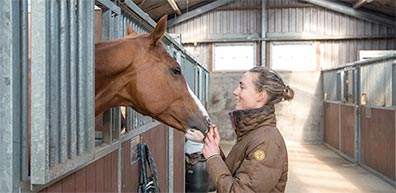 Descaler - Wendy Plomp